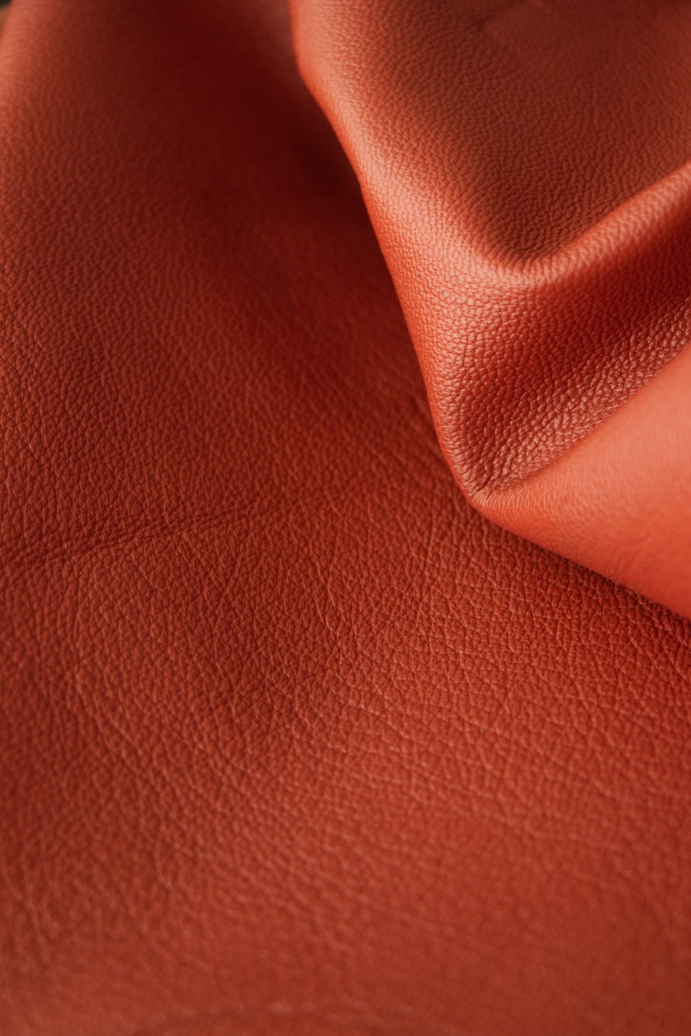 Le cuir de Millau Photo pour la communication sur les réseaux sociaux d'une PME en sud-Aveyron, Occitanie. Gros paln sur le grain d'un cuir de chèvre teinté safran. Collaboration entre les Tanneries Pechdo et Via Tara
