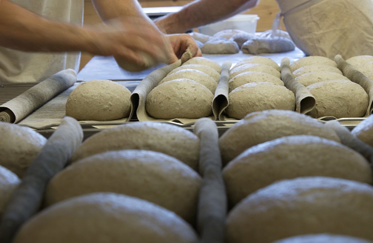 Les mains des boulangers reportage photo dans une ferme aveyronnaise. Les boulangers de l'équipe produisent du pain bio à partir de leur prodcution de blé. Photo Luce Dupont, Via Tara