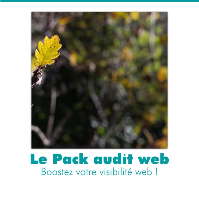 Audits web : Le Pack
